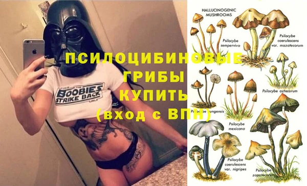 COCAINE Медвежьегорск