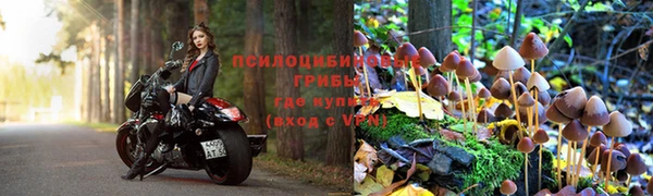 COCAINE Медногорск