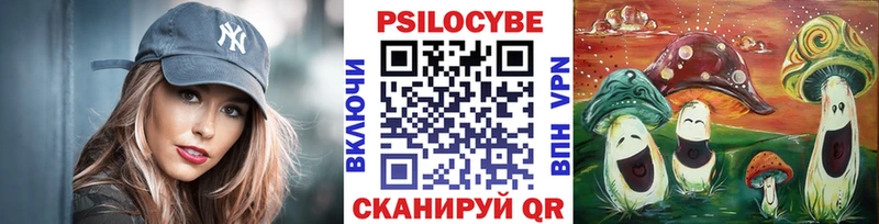 Купить закладки  Воркута  Галлюциногенные грибы мухоморы 
